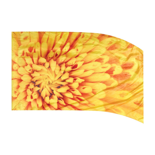 Envision Flag 806
