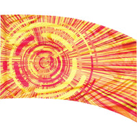 Envision Flag 700